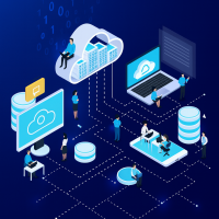 Kancellária, IGI, Szolgáltatások